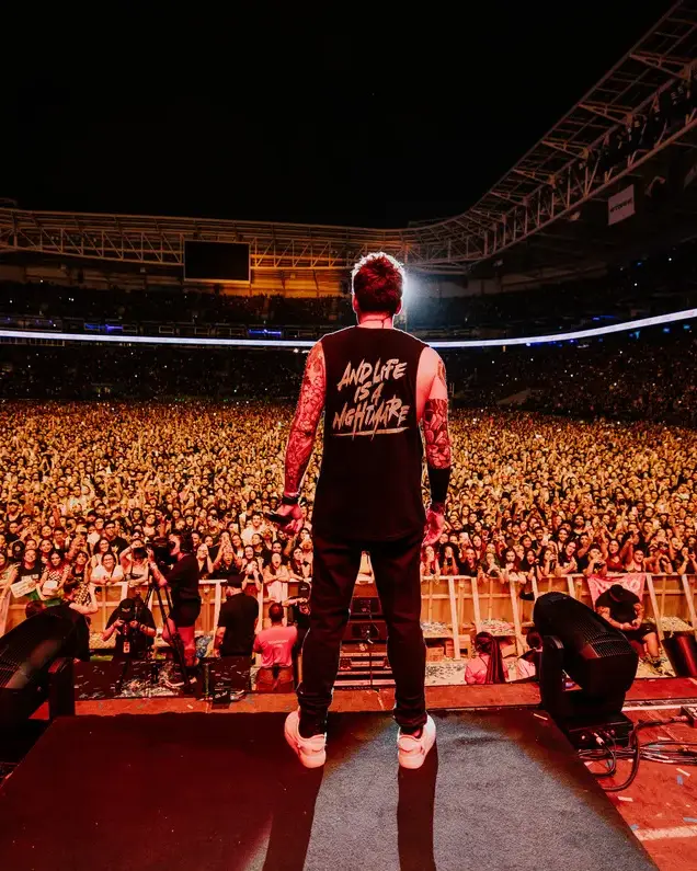 Simple Plan en directo ante un estadio lleno, foto de Anna Lee Media