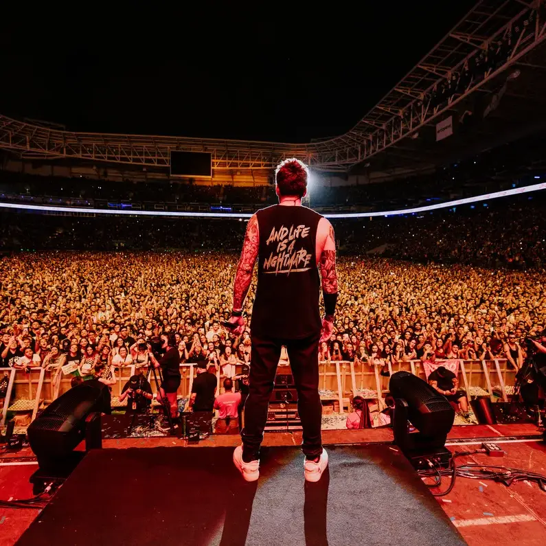 Simple Plan en directo ante un estadio lleno, foto de Anna Lee Media