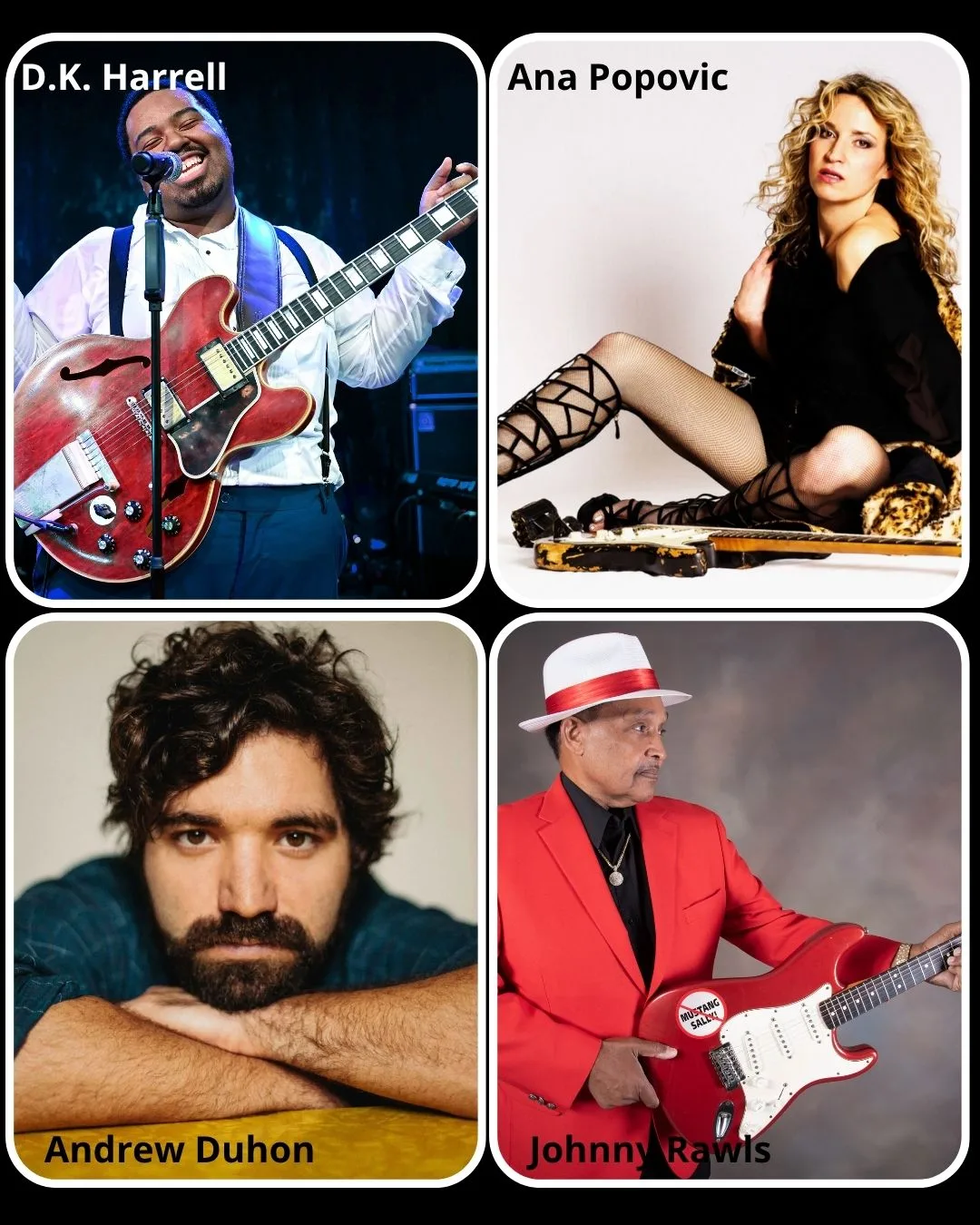 Fotos dels artistes internacionals D.K. Harrell, Ana Popovic, Andrew Duhon i Johnny Rawls
